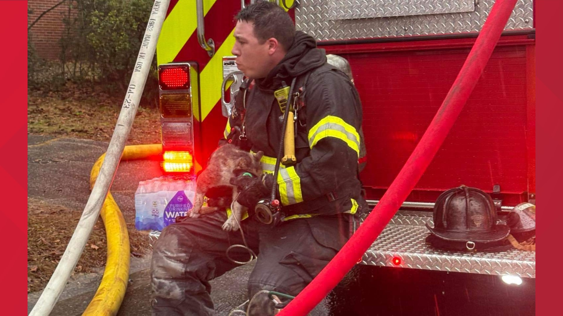 A cat was also rescued during the fire and firefighters applied oxygen to the cat.