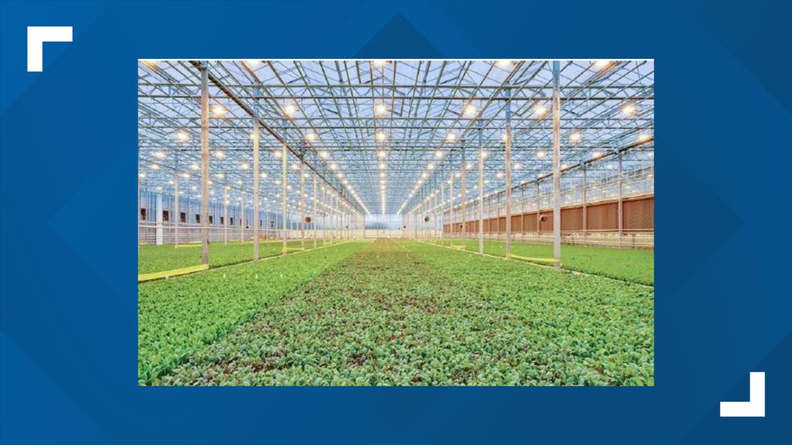 Greenhouses, 300 jobs may be coming to south Bibb County