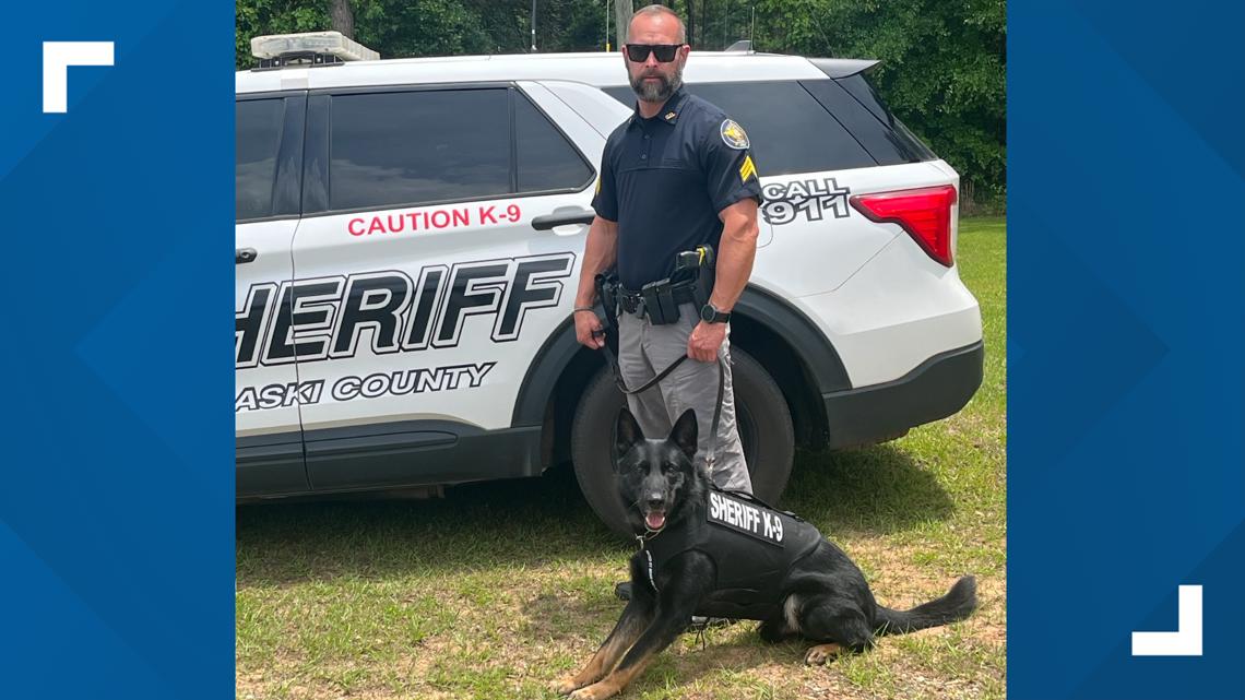 This brave Central Georgia K9 just got a new bulletproof vest. Here's how
