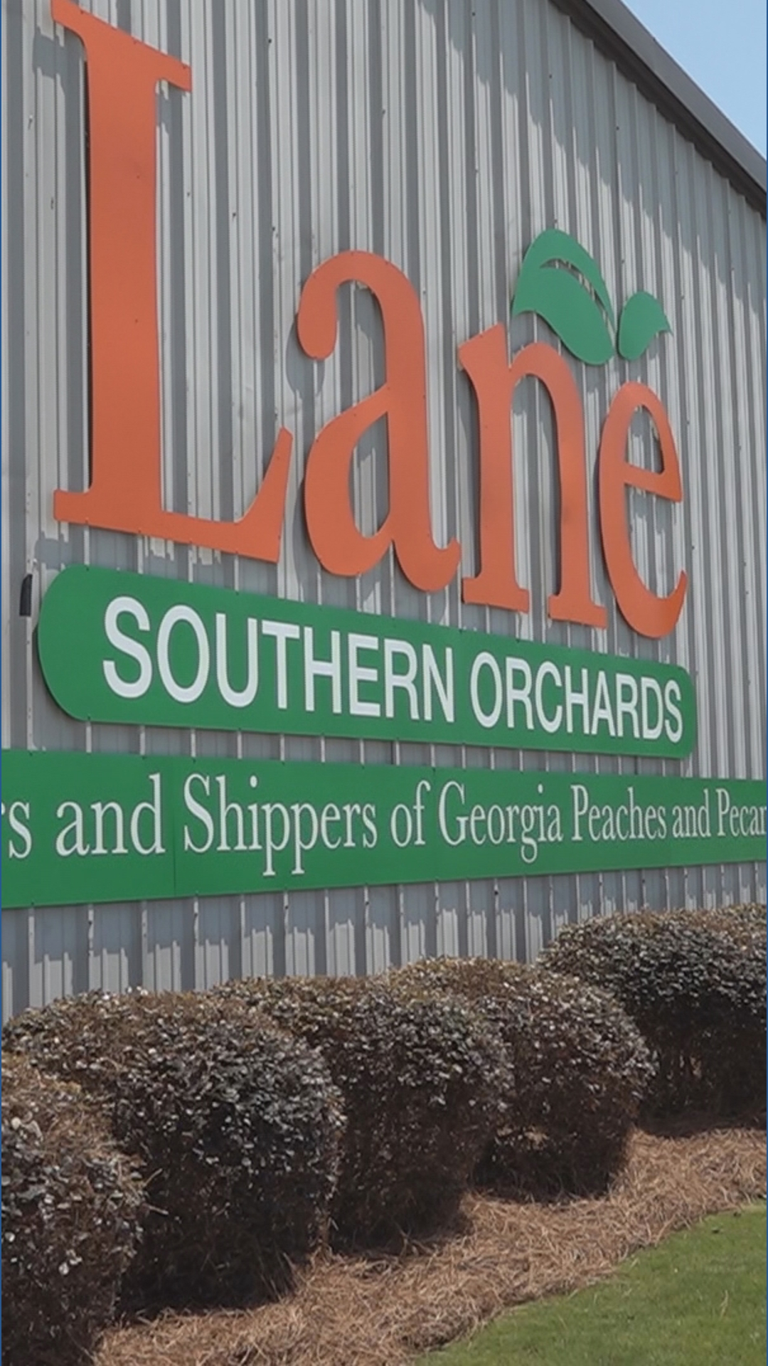 Lane Southern Orchards hosts peach fest in Georgia | 13wmaz.com
