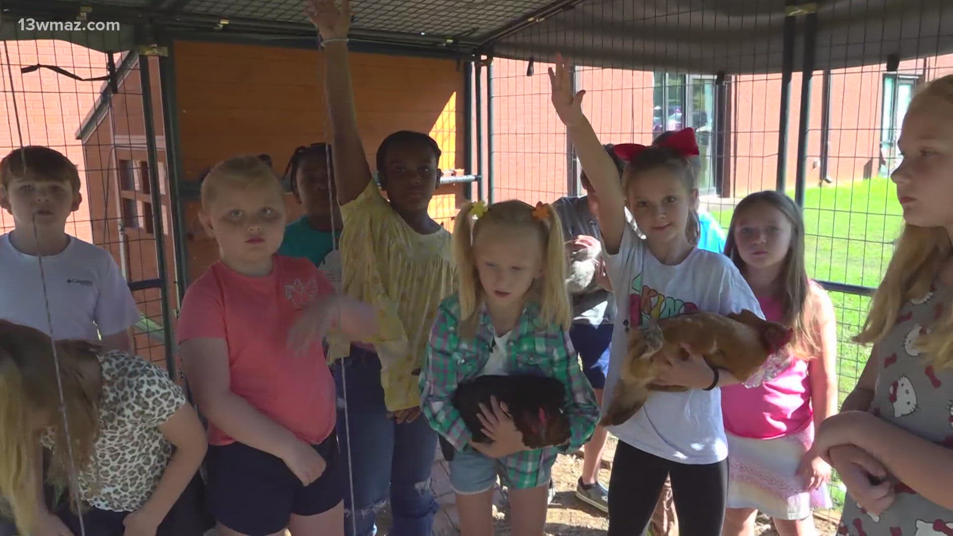 Second graders in Ms. Heather Smith's class have been hatching up a special STEM project since the fall.