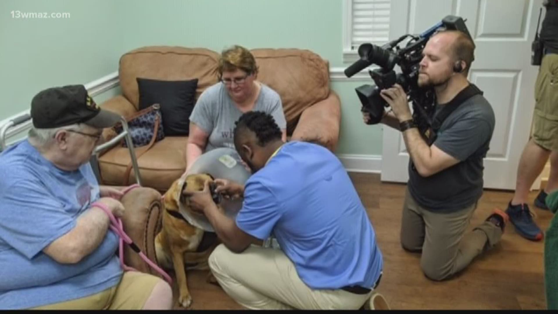You've seen Dr. Terrence Ferguson and Dr. Vernard Hodges doing pet veterinary tips right here on 13WMAZ. Suzanne Lawler shows you why these guys could become nationwide household names.