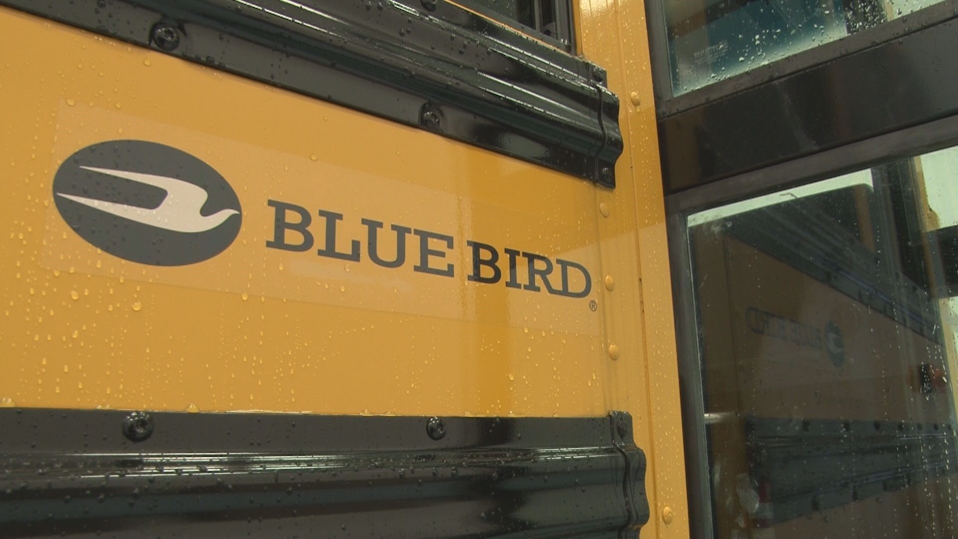 Advanced automotive high school students can take a course specializing in the maintenance and manufacturing of Blue Bird buses, which could lead to a job.
