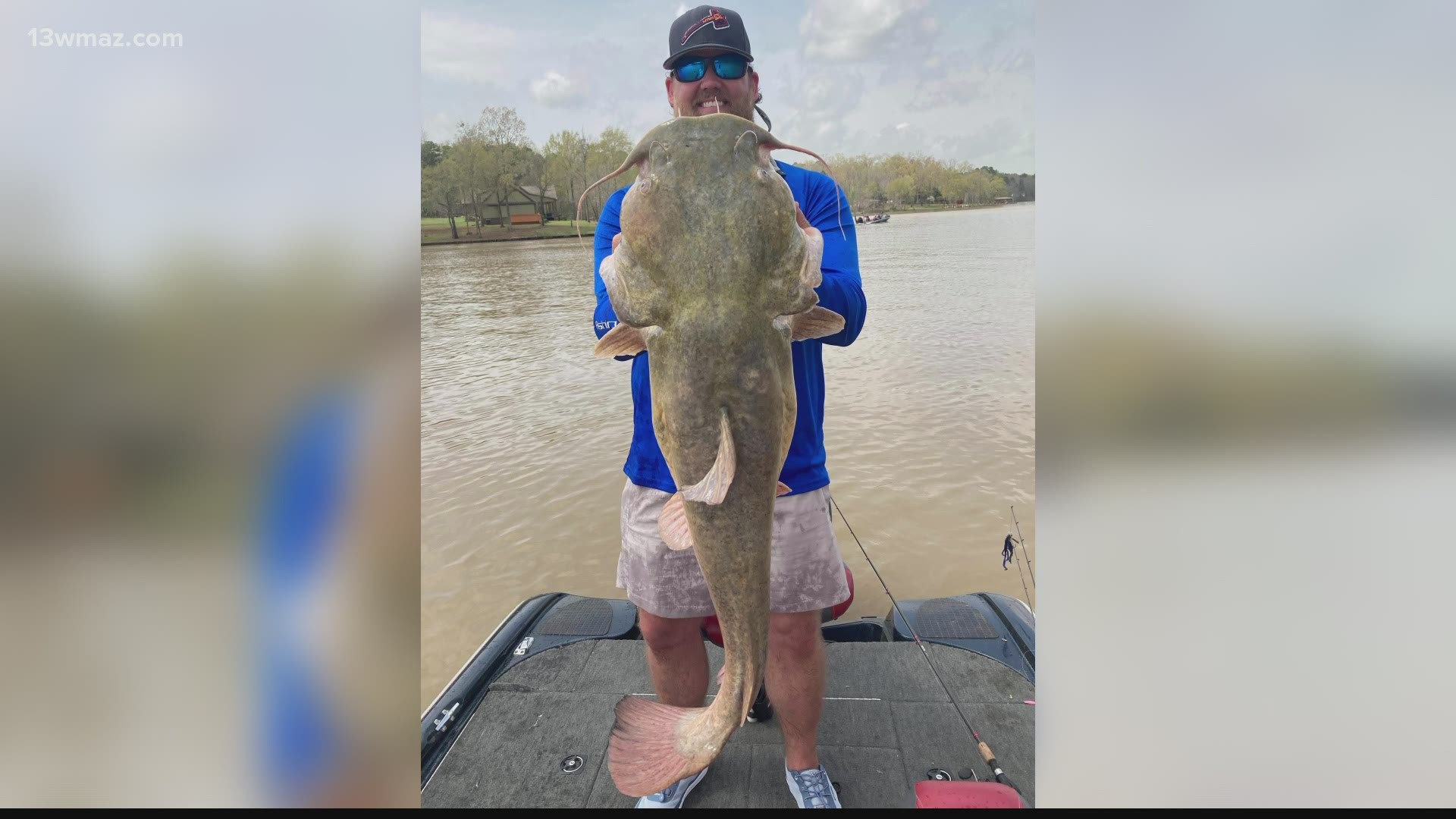 The current flathead catfish record at Lake Sinclair has stood for a decade. One guy had a chance to break that record a couple of weeks ago, but threw it back...