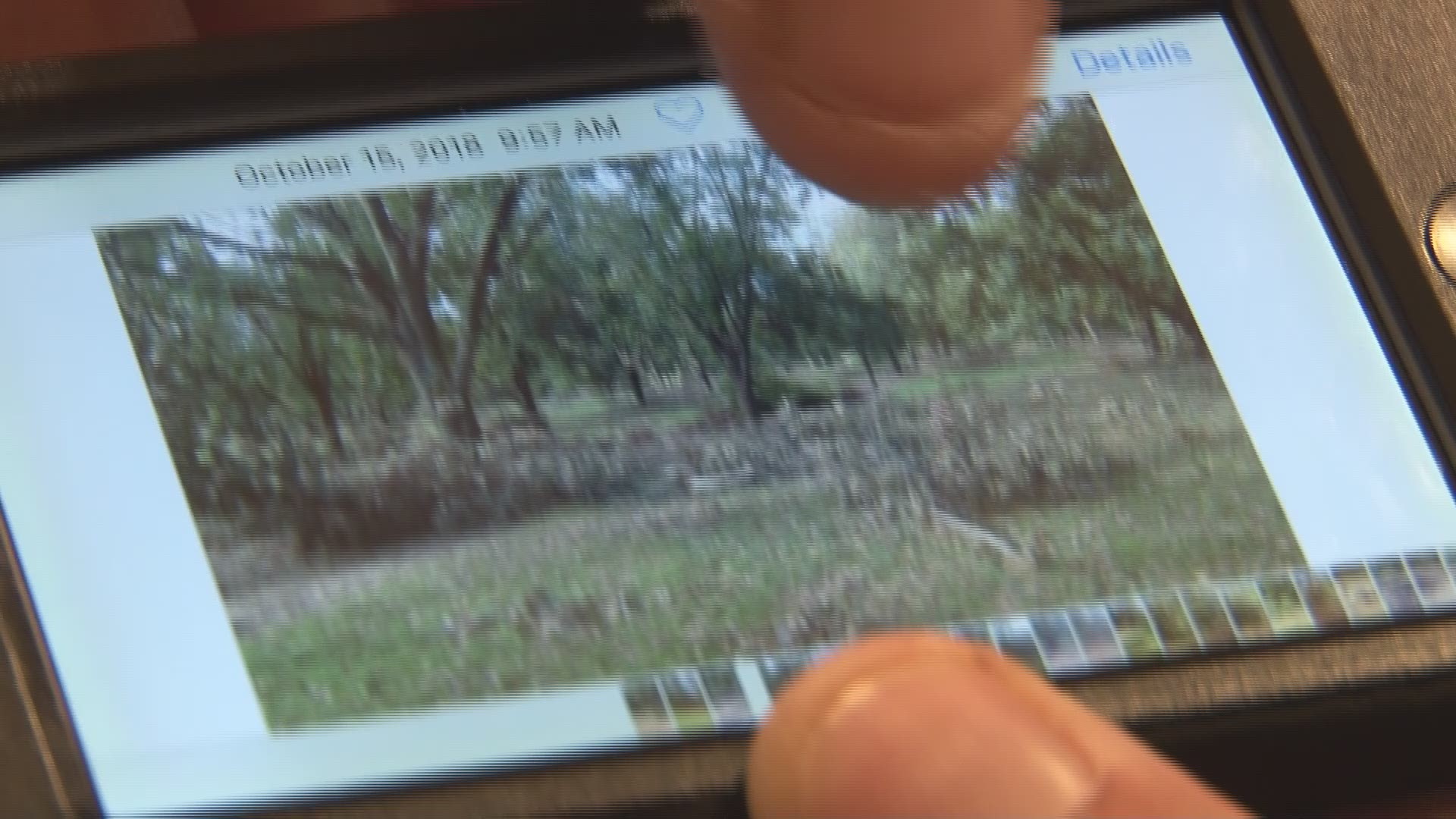 Judd Baker, who runs this farm and his family, left for Columbus the night before Hurricane Michael came through the city last October. After Irma and living in a pecan orchard, they didn't want to risk anything, but when they came back they couldn't believe what they found on a farm that dates back to the early 1900's.