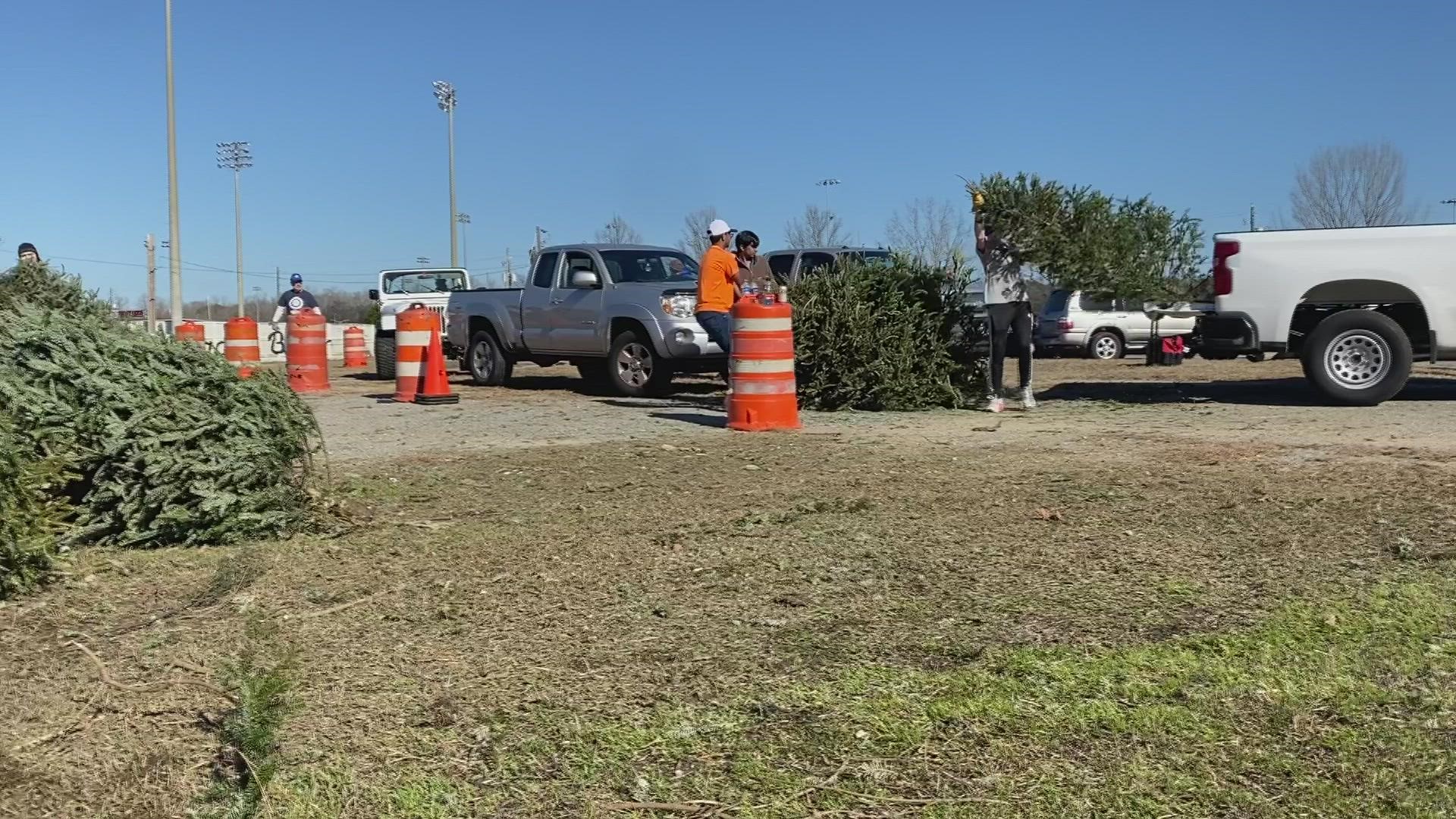 Folks brought in their old Christmas trees to turn into mulch this morning at Luther Williams Field.