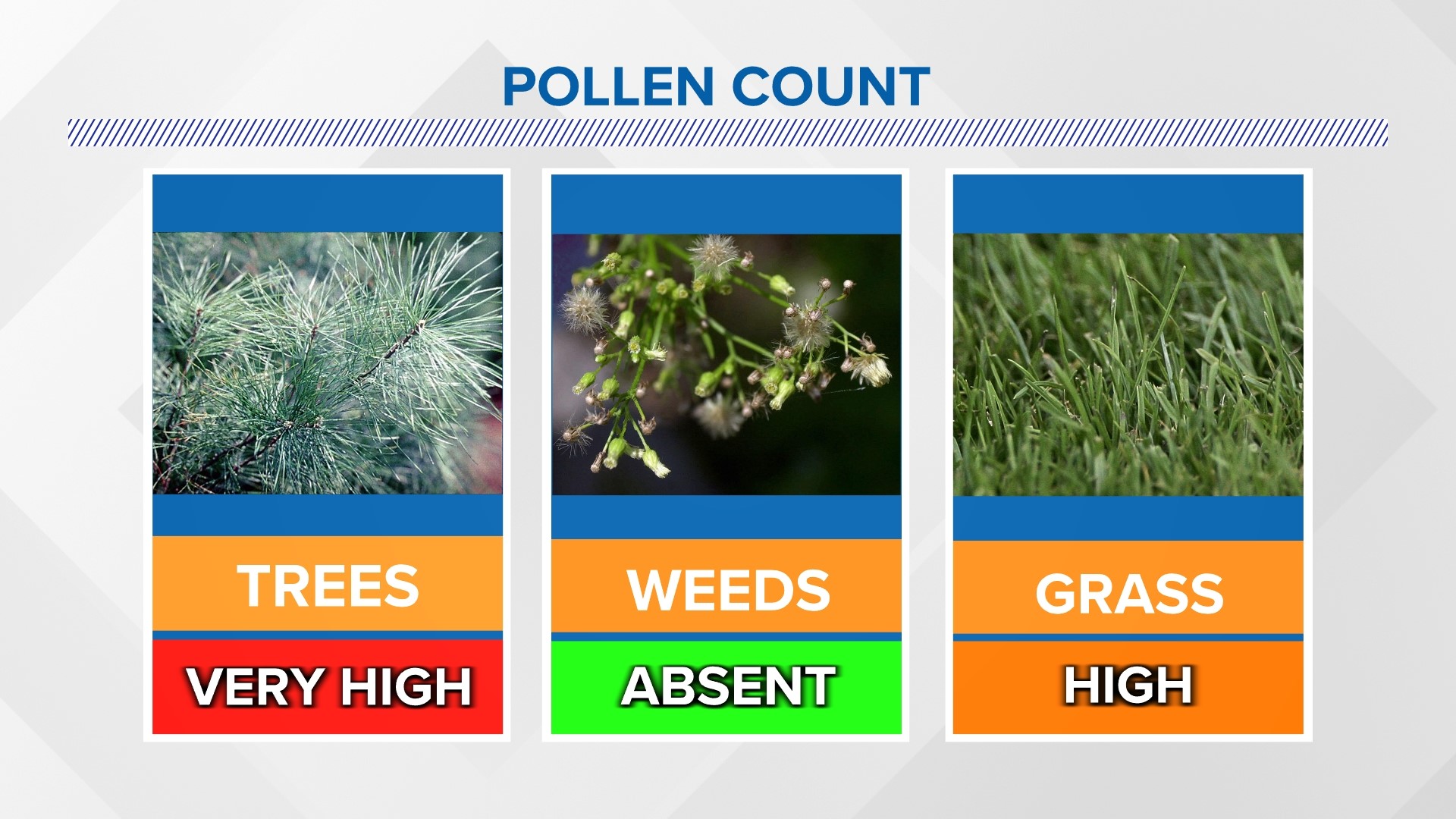 7 Day and Hourly Weather Forecast Macon,