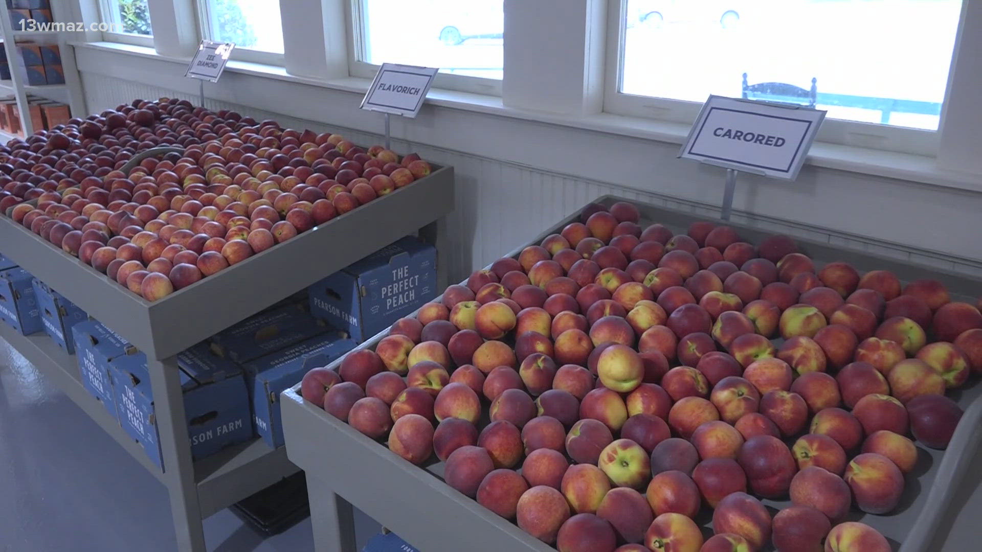 Last year, many peach farmers in Georgia lost more than 90% of their crop. Now, they are seeing the opposite.