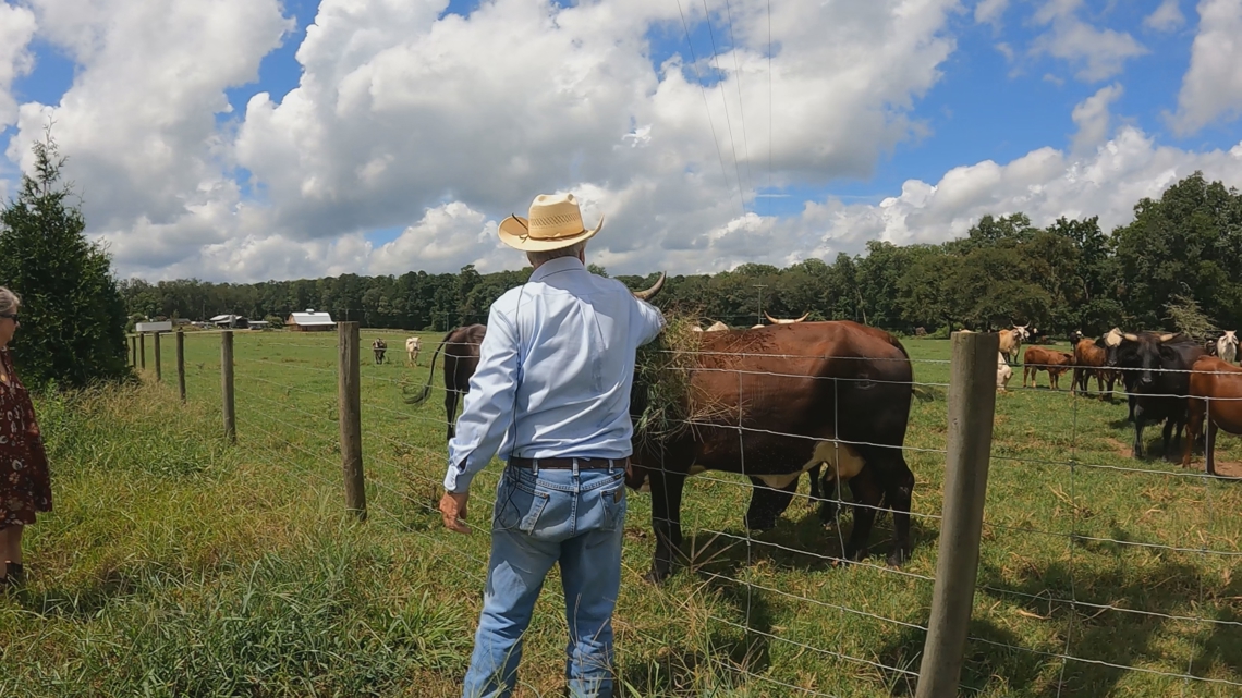 Georgia farmers looking for clarity in beef labeling for consumer trust