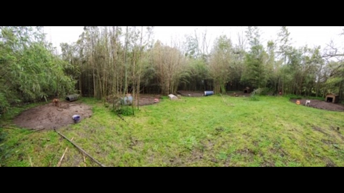 Alleged Central dog fighting ring busted, 150+ dogs found