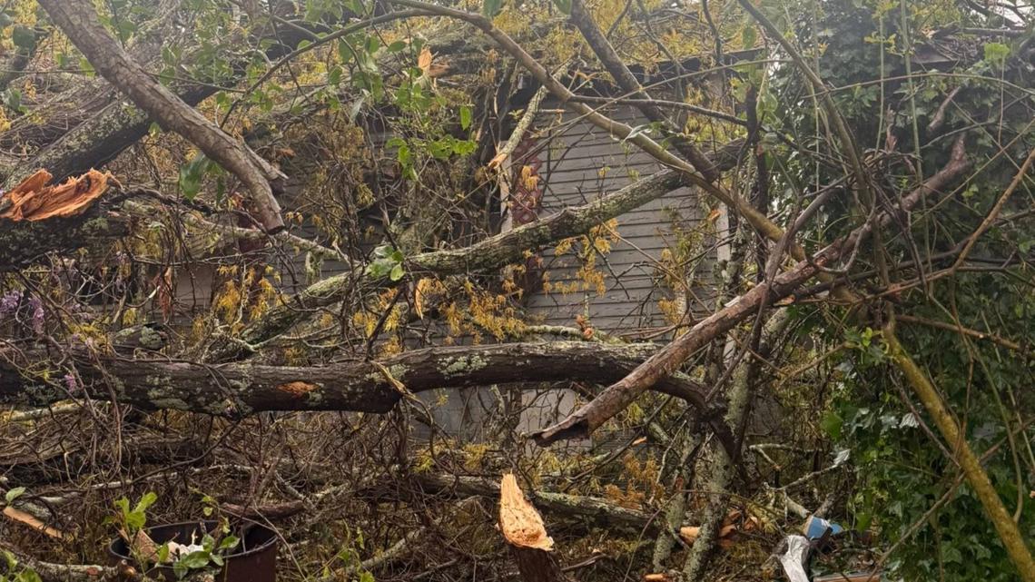 Weather Impact Alert | Live Updates: Severe weather hits Central Georgia this morning. What we know
