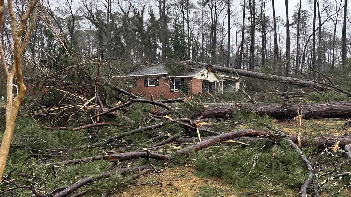 Storms down trees, cause damage in Washington County. - Vimarsana News