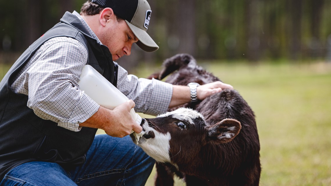 Agriculture Commissioner speaks on his position