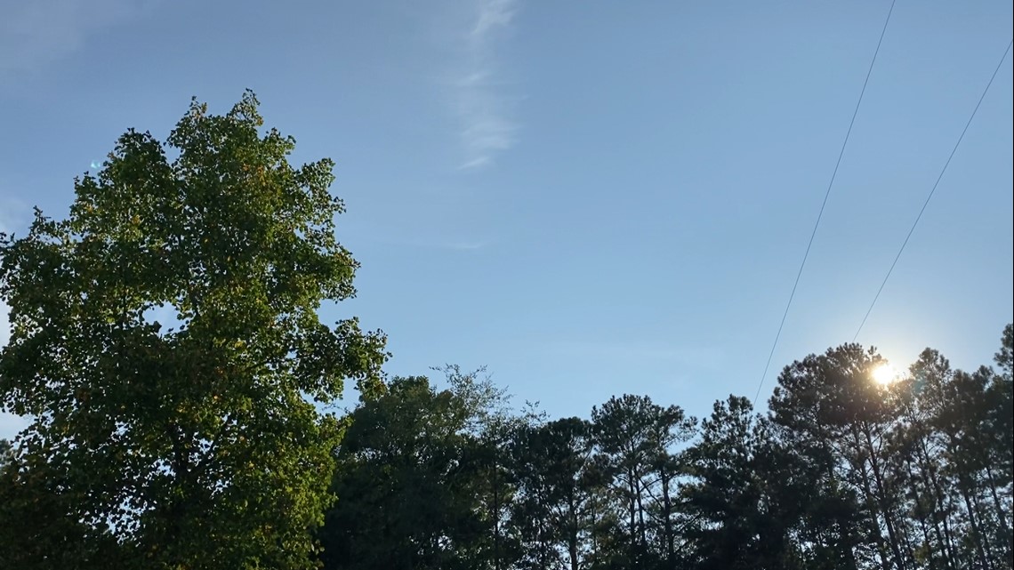 Here's why Central Georgia's air quality was worst in the nation - Vimarsana News