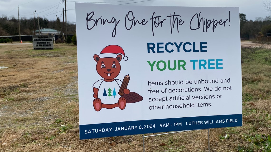 Keep Macon-Bibb Beautiful helps you recycle Christmas trees - Vimarsana News