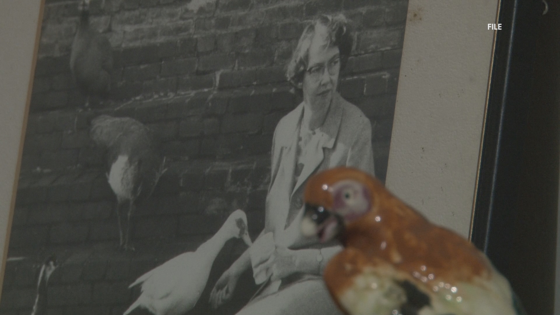 R.J. Taylor Memorial Hospital in Hawkinsville turned into apts