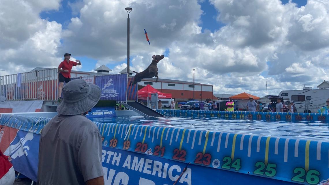 Perry hosts competition for canines - Vimarsana News