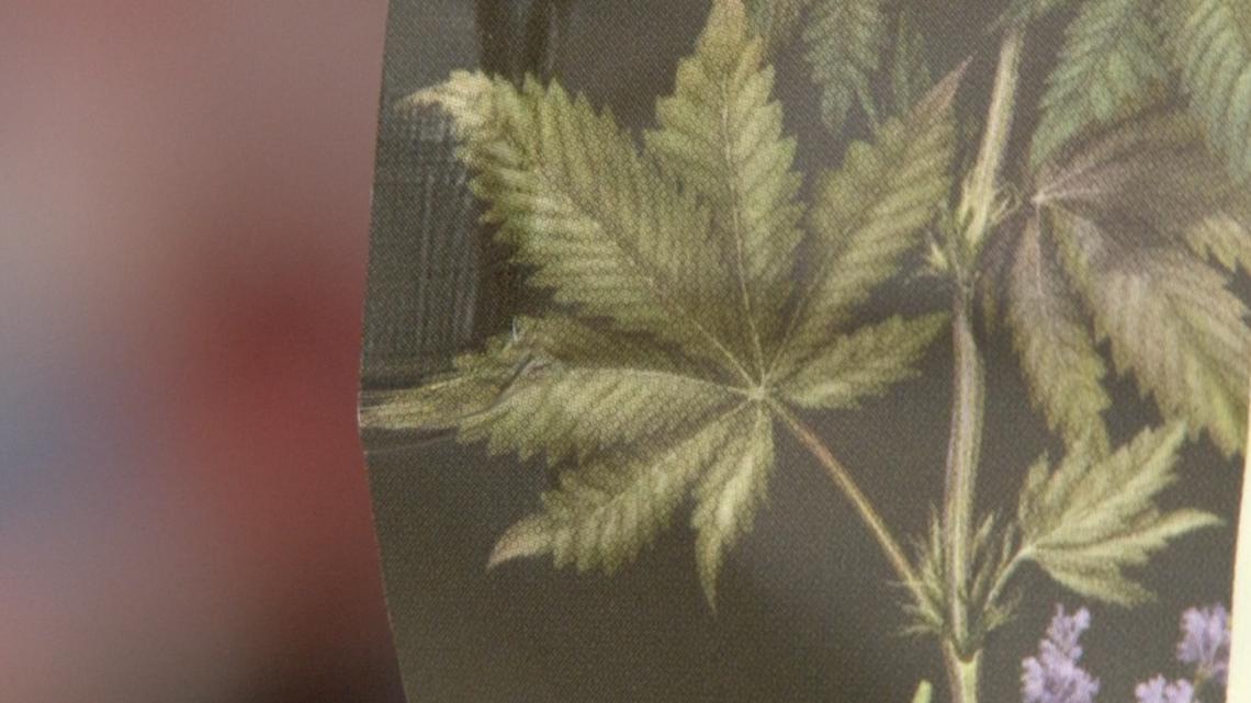 Warner Robins pharmacy first in nation to sell marijuana - Vimarsana News
