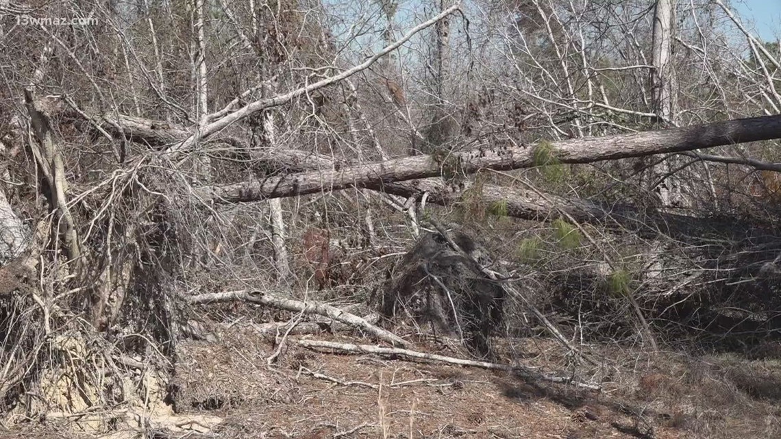 Georgia Department of Ag receives over $500 million for Hurricane Helene farm relief. Here's how to apply