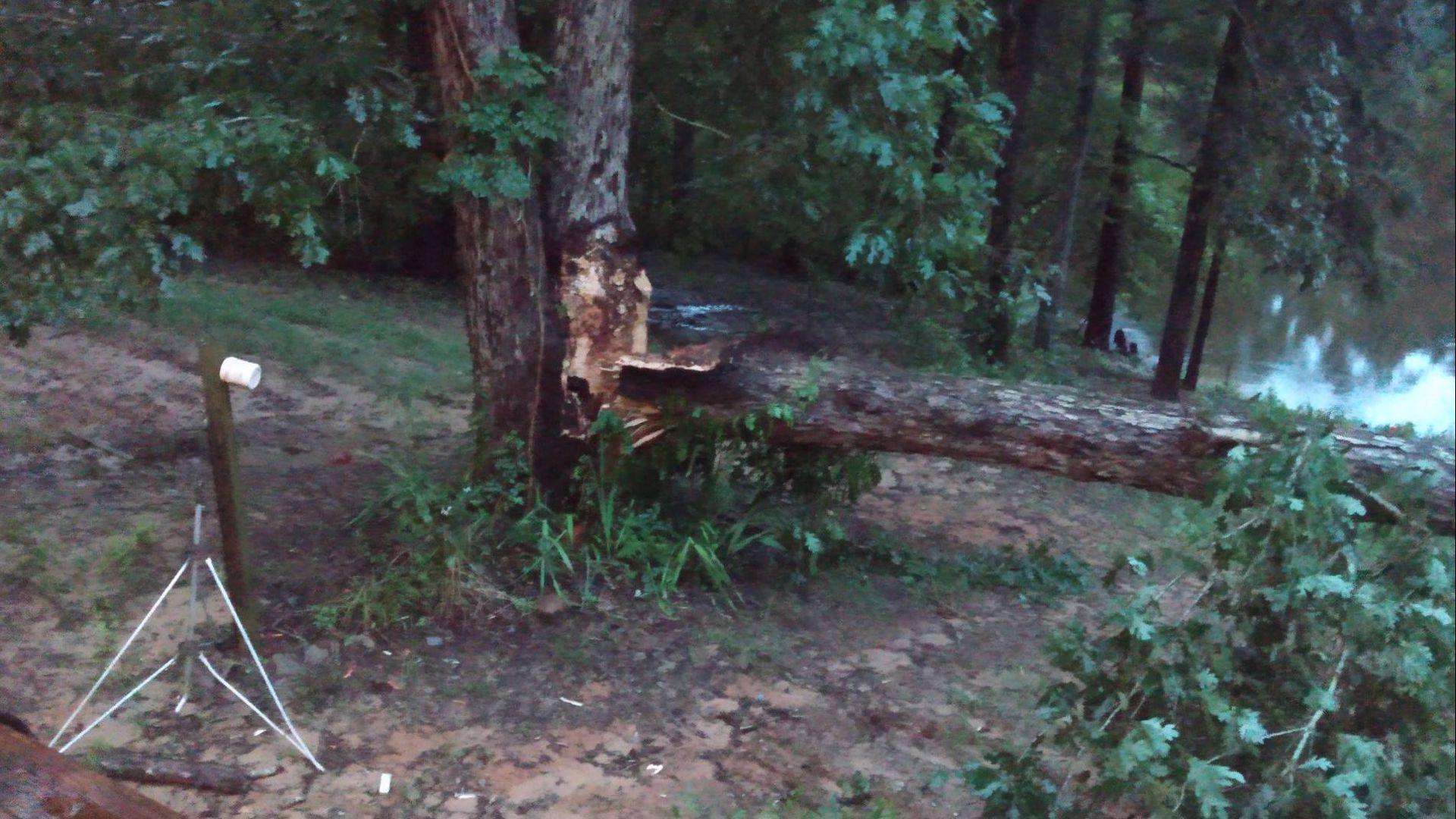 Severe weather causes damage at Academy Sports Distribution Center in