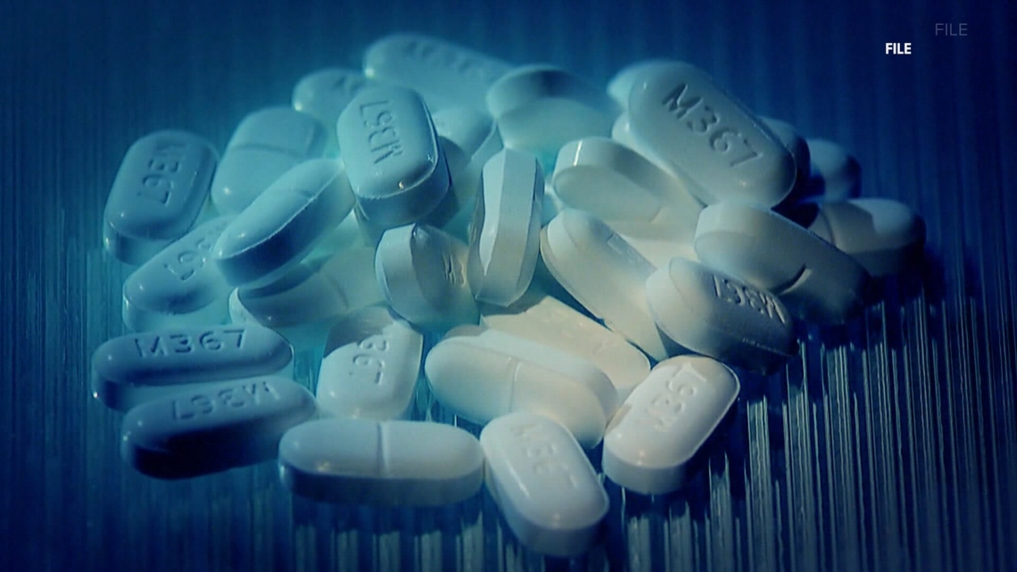 'We're on the right path' | Houston County sees overdose deaths decline, experts urge continued support