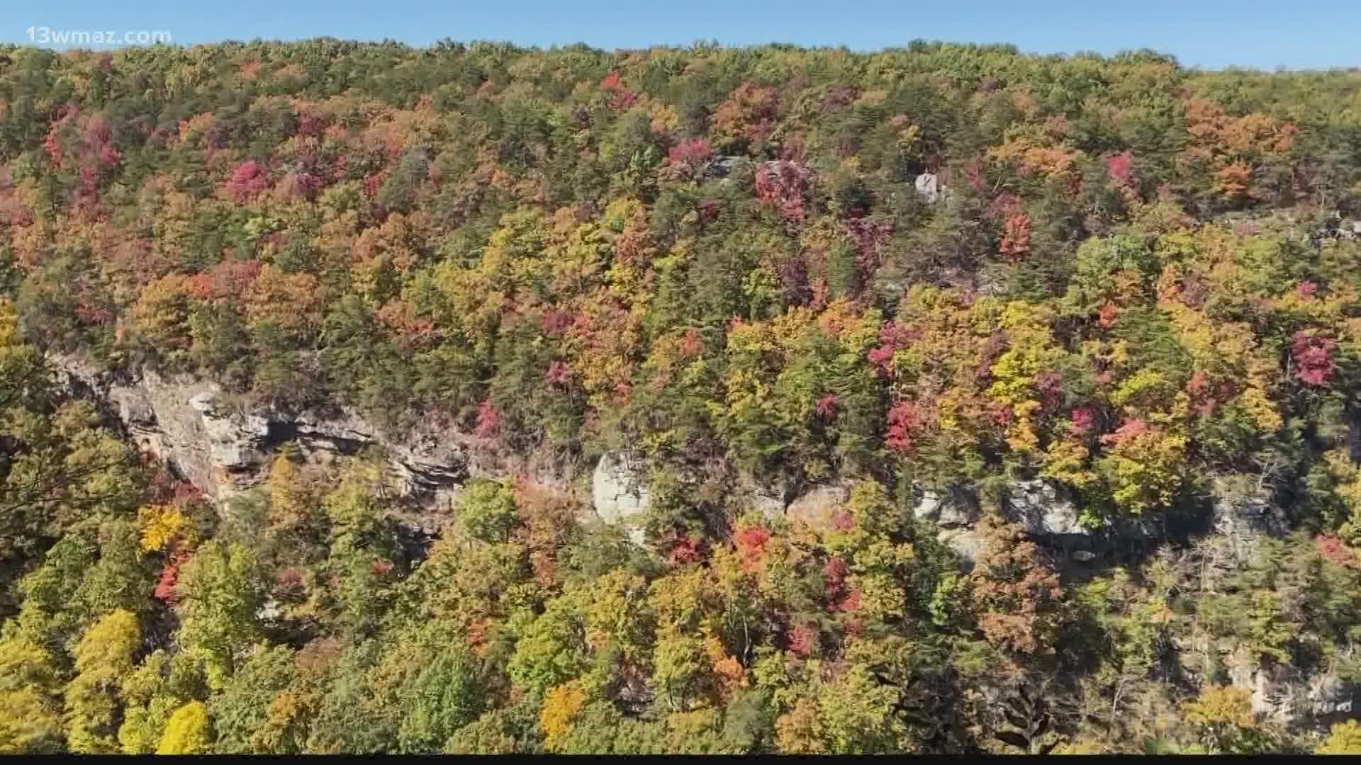 The state park has more than 400,000 visitors a year as people come from all around to take in the fall foliage.