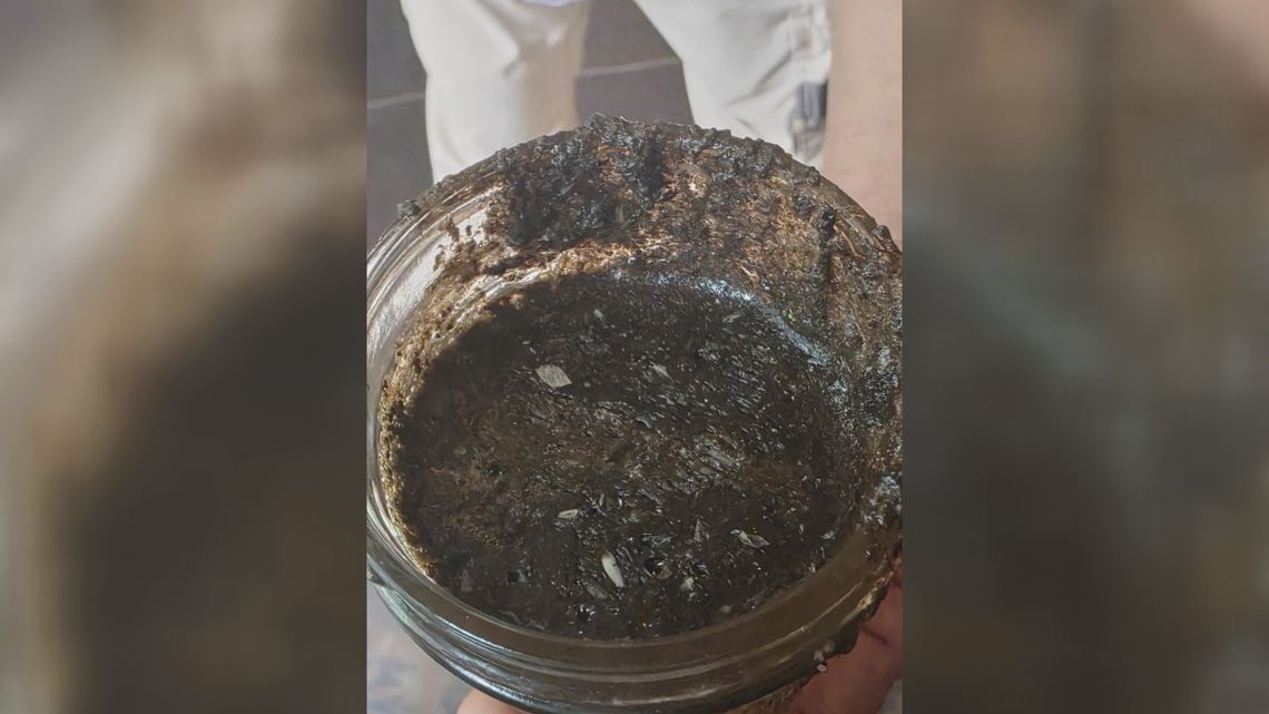 Black oily substance appears in High Falls Lake for 2nd time this year, frustrating residents