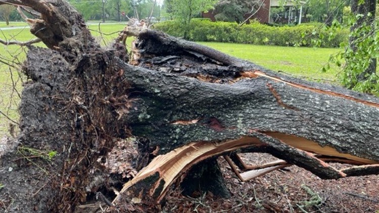 Central Georgia sees damage as storms move through Bleckley, Crisp counties