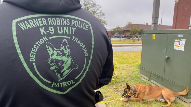 'It could help our unit out greatly': Warner Robins Police Department K-9 units hopeful for grant