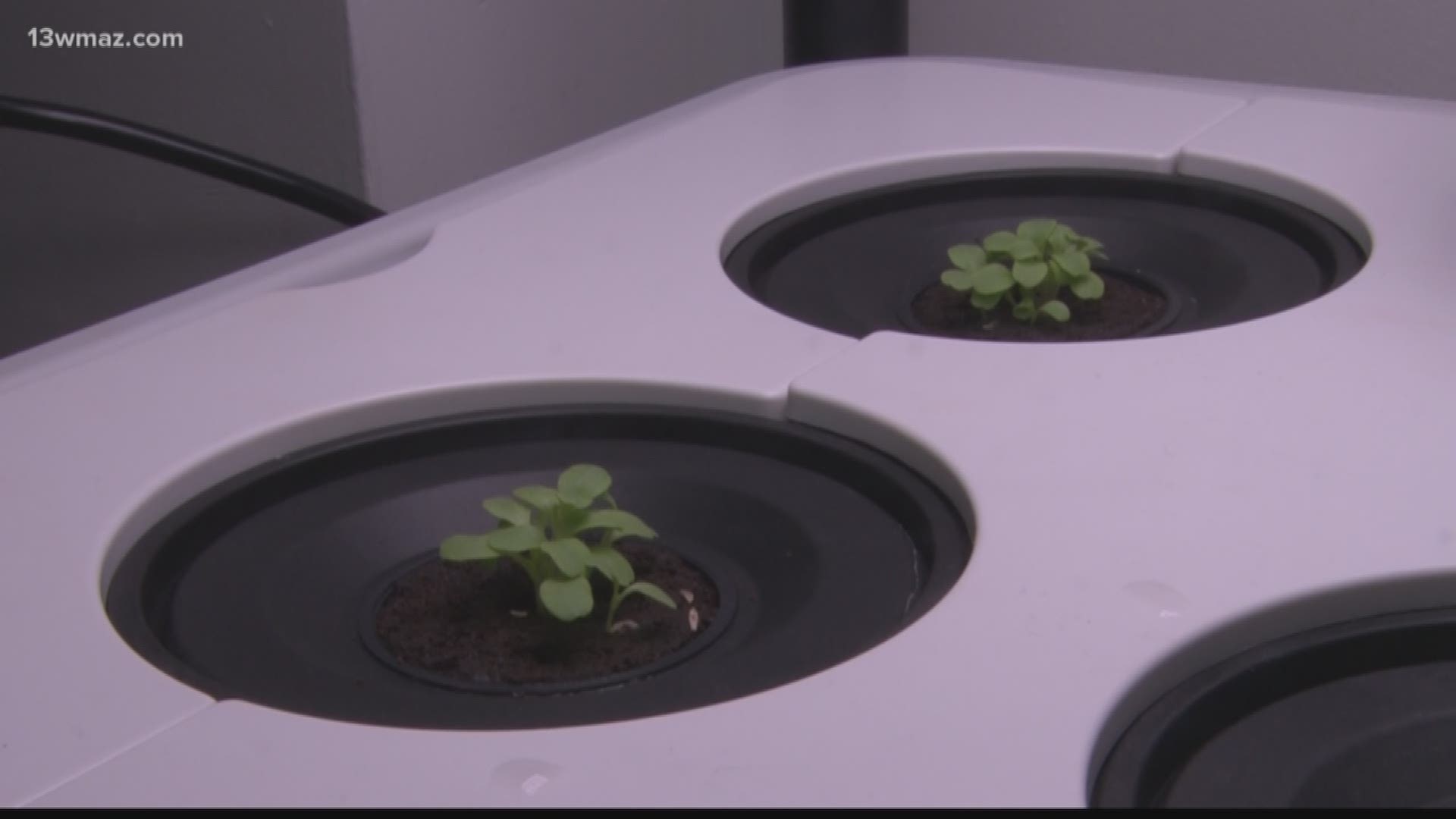 SOAR Academy students are learning about a new farming technology that allows students to plant vegetables indoors.