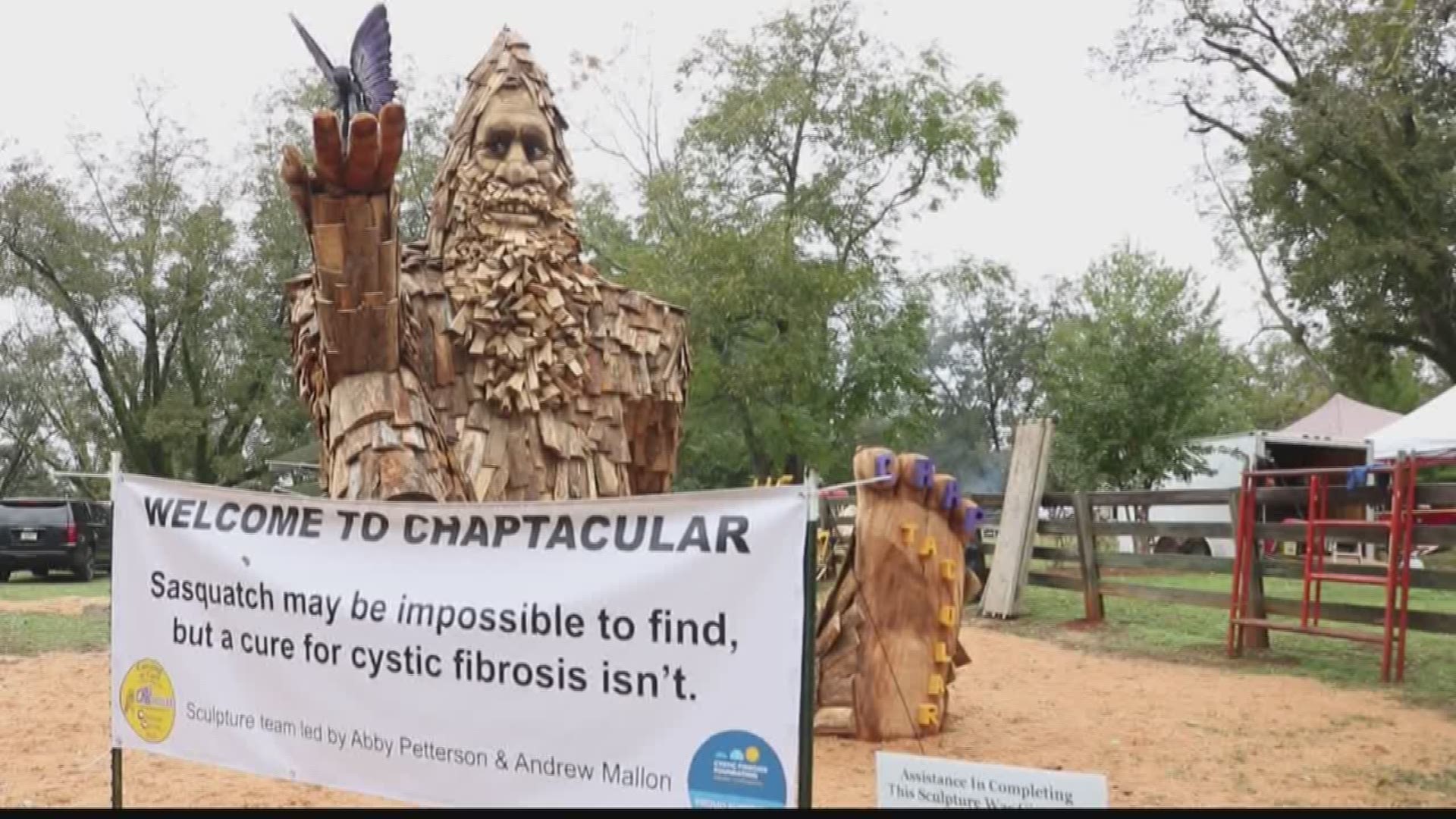 This weekend, over 70 pro woodcarvers from around the world are in Gray, Georgia for the Chaptacular Chainsaw Carving Bash.
