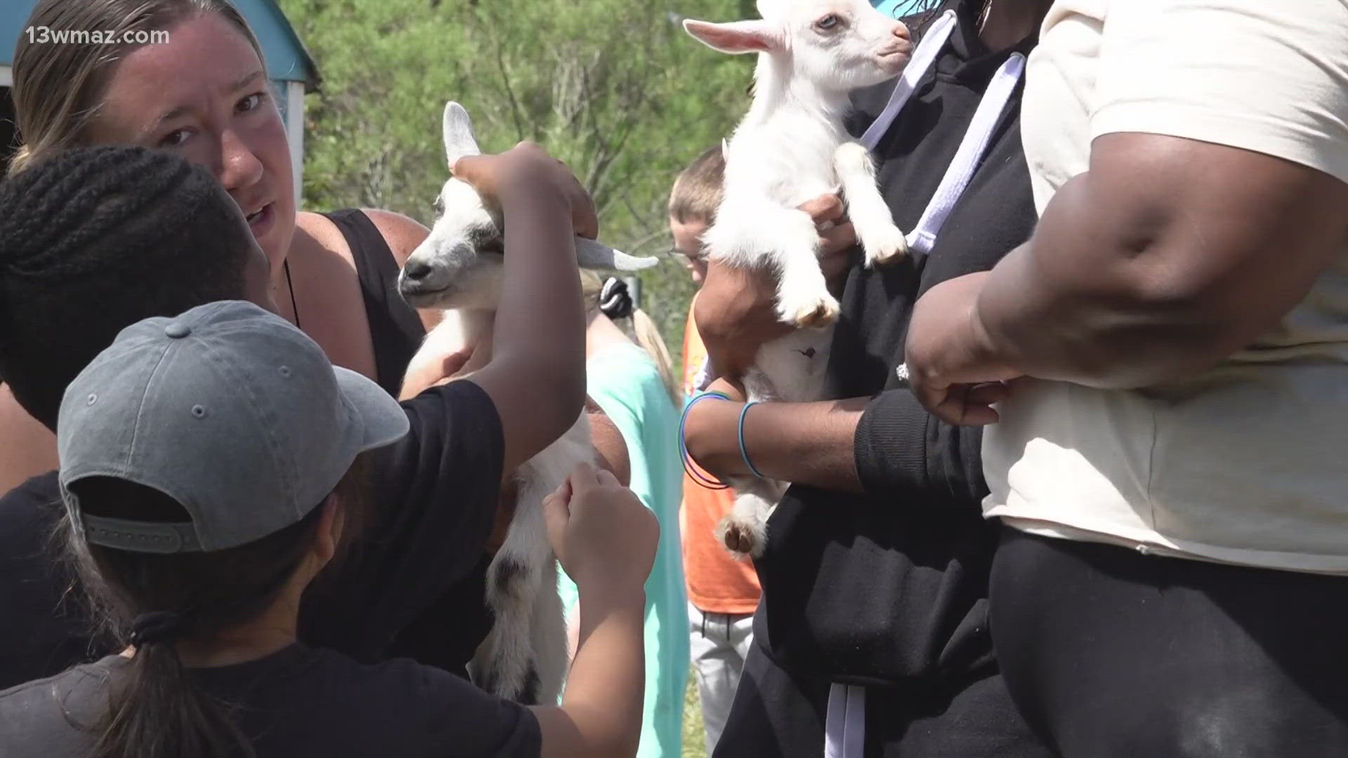 The school involves a number of hands-on learning practices, including learning about agriculture by visiting a farm.