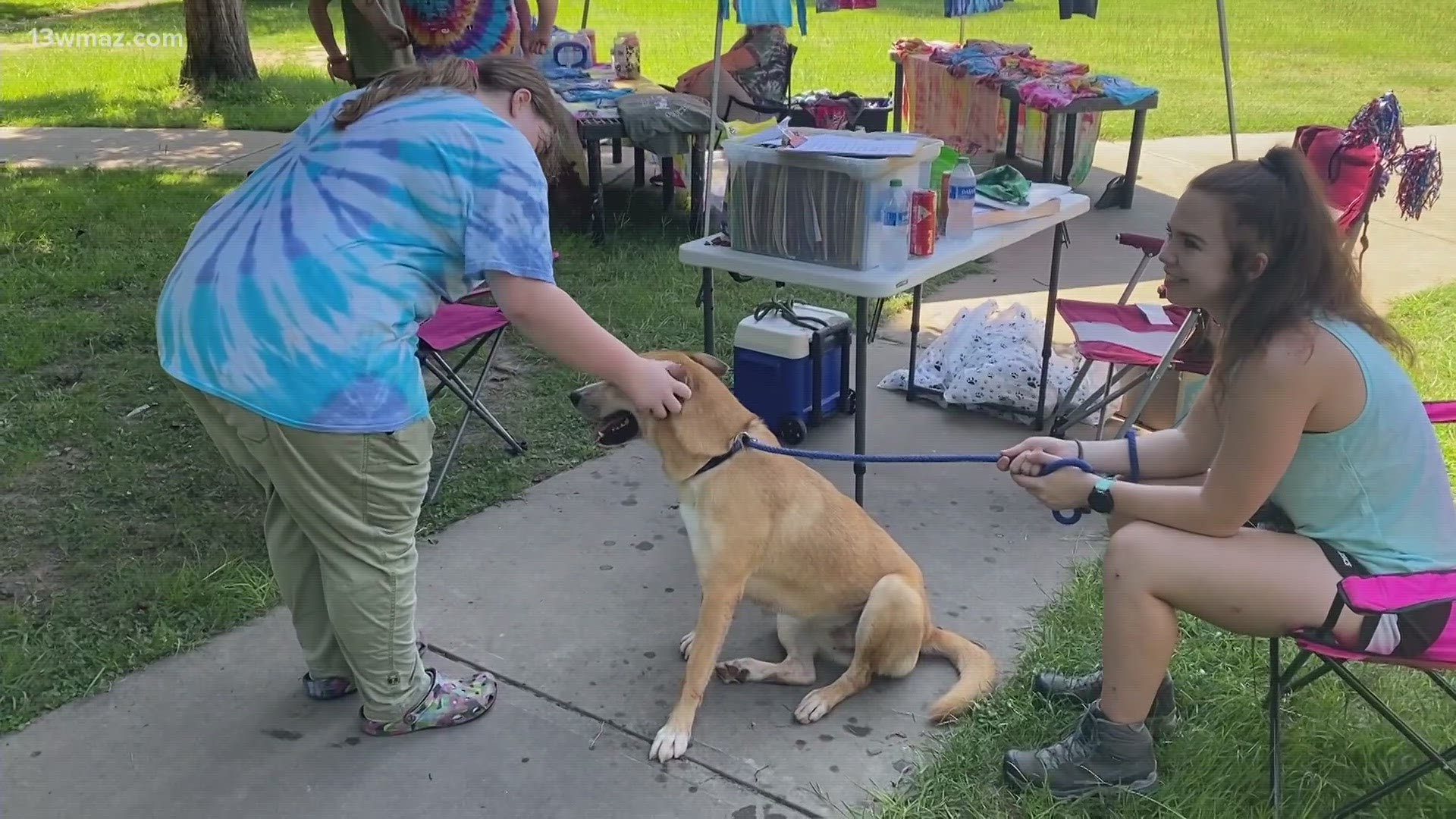 It also includes a whole slew of vaccinations taken care of by the shelter.