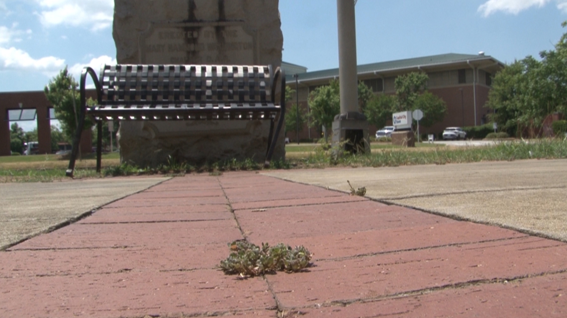 Macon homeless woman survives beating, family looking for justice - Vimarsana News
