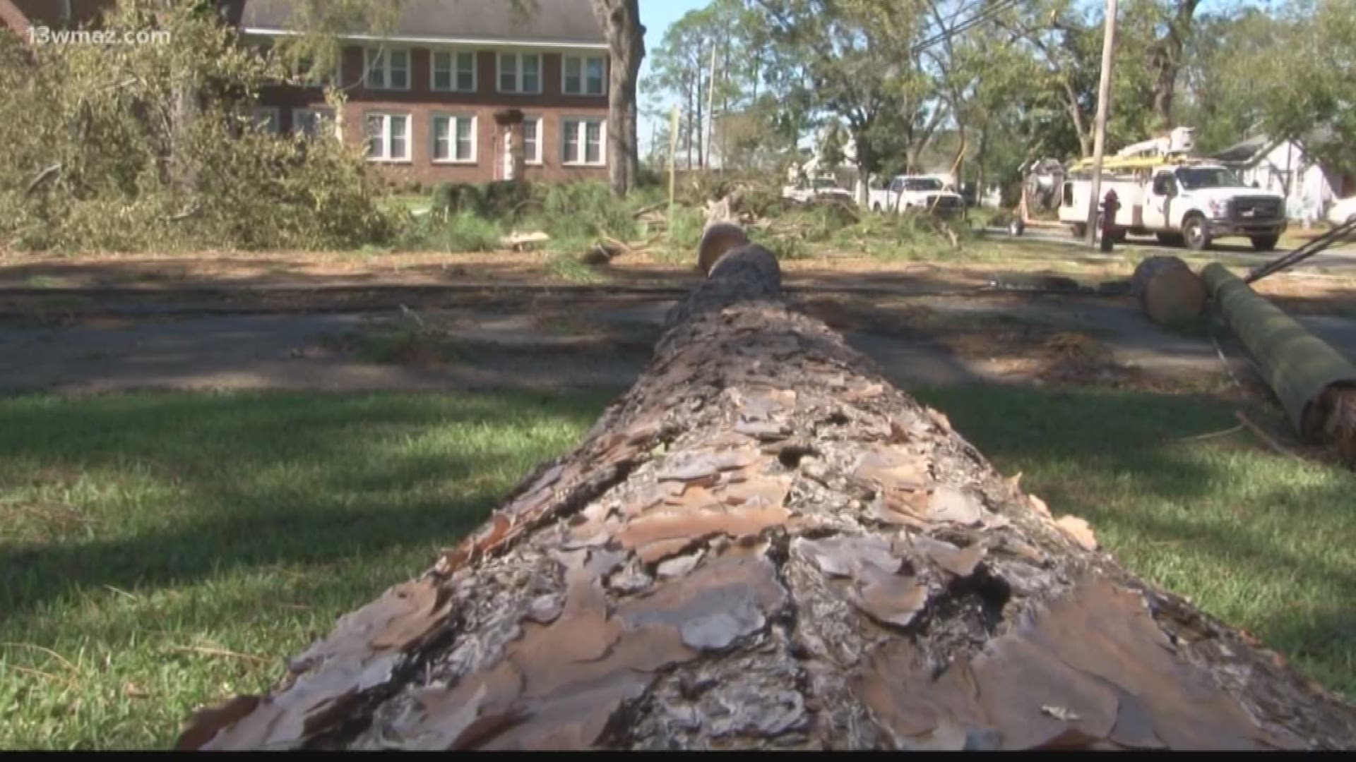 Damage in Cordele after highest wind gusts