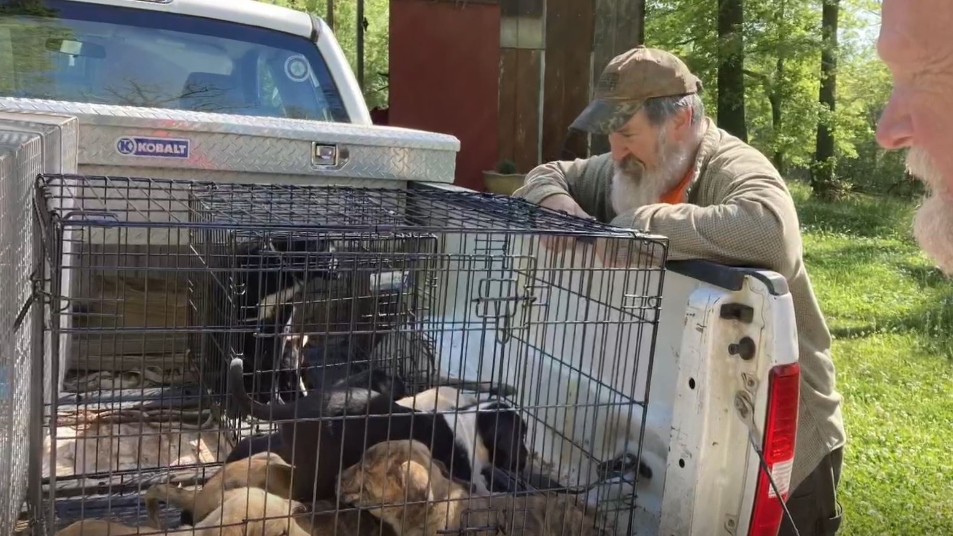 Hancock County has no animal services 