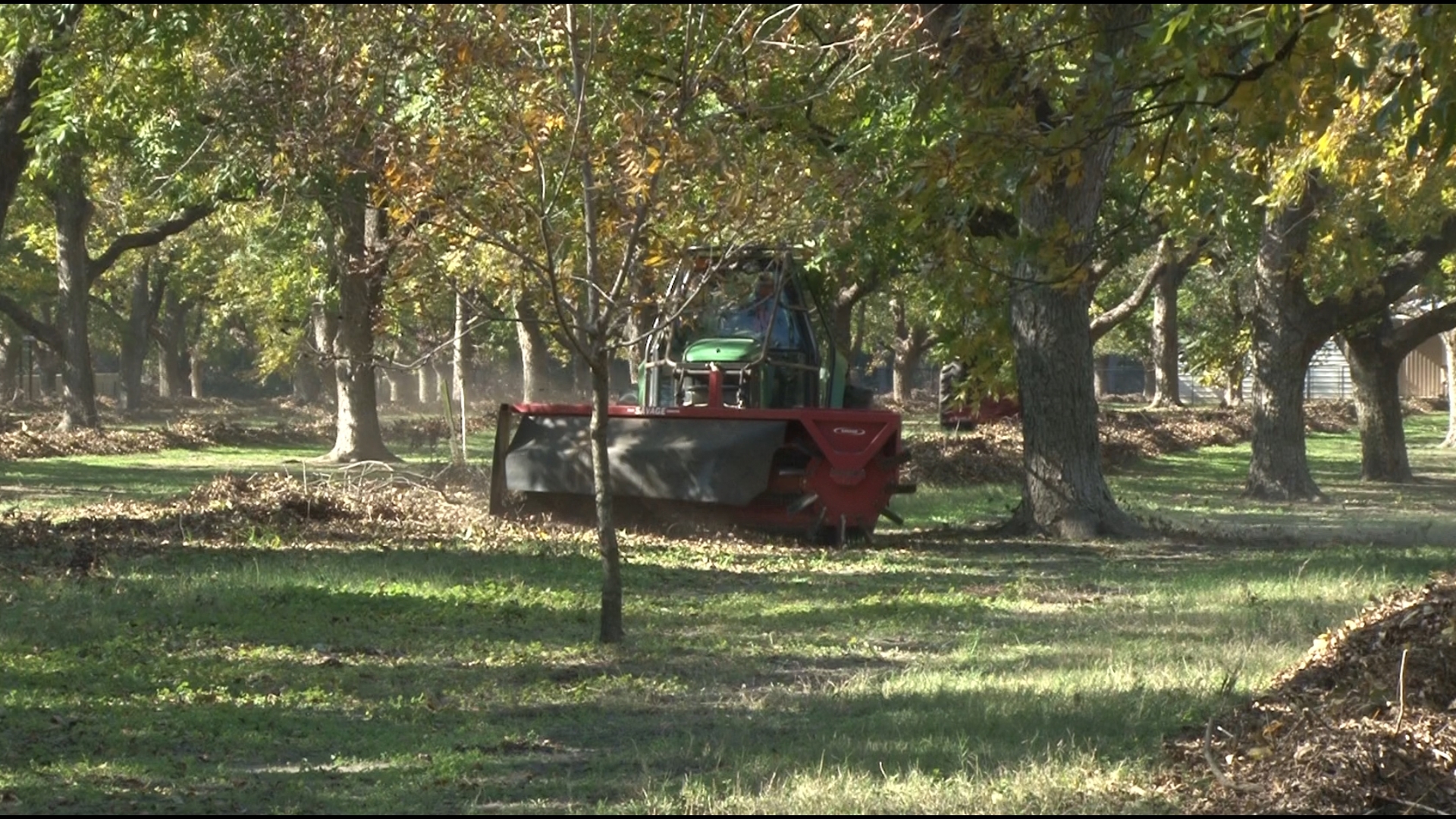 According to the 2022 Census of Agriculture, the average Georgia farmer is 59 years old. And about 5,000 farmers are under the age of 35- less than 1 out 10.