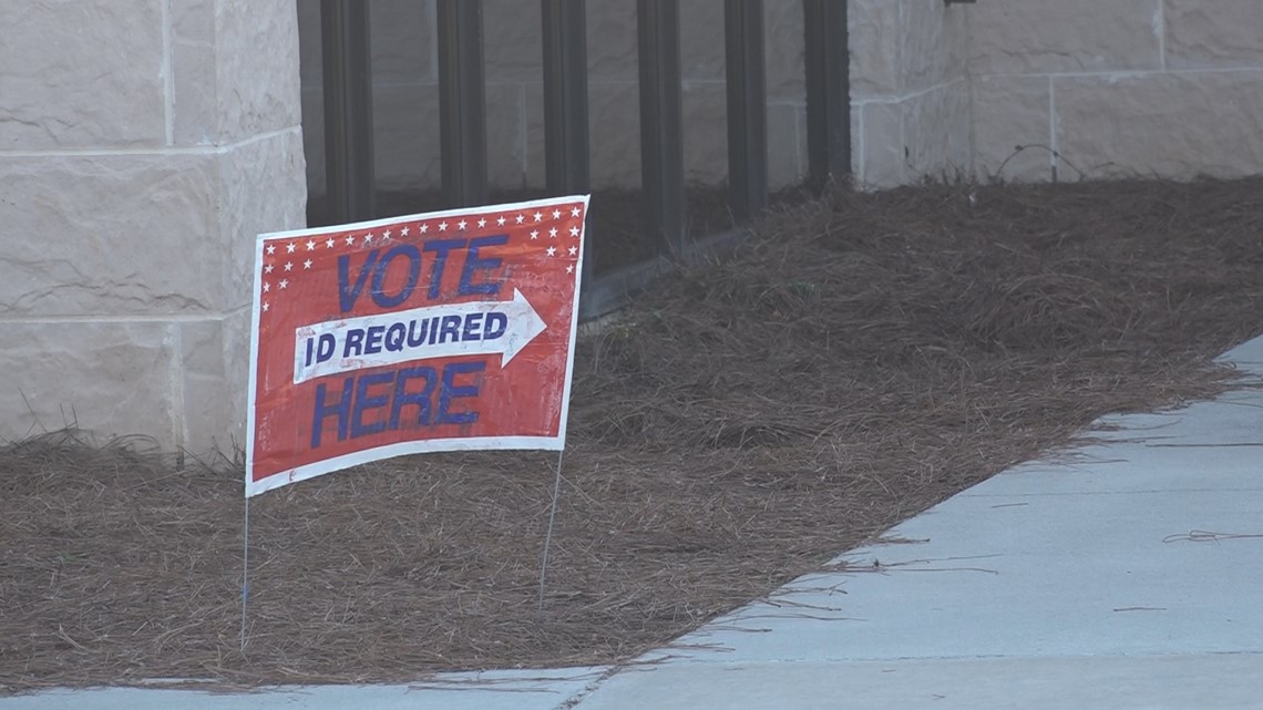 Central Georgia voters see smooth voting experience - Vimarsana News