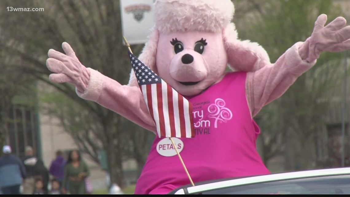 Cherry Blossom fest is one of 'Signature events in the southeast'