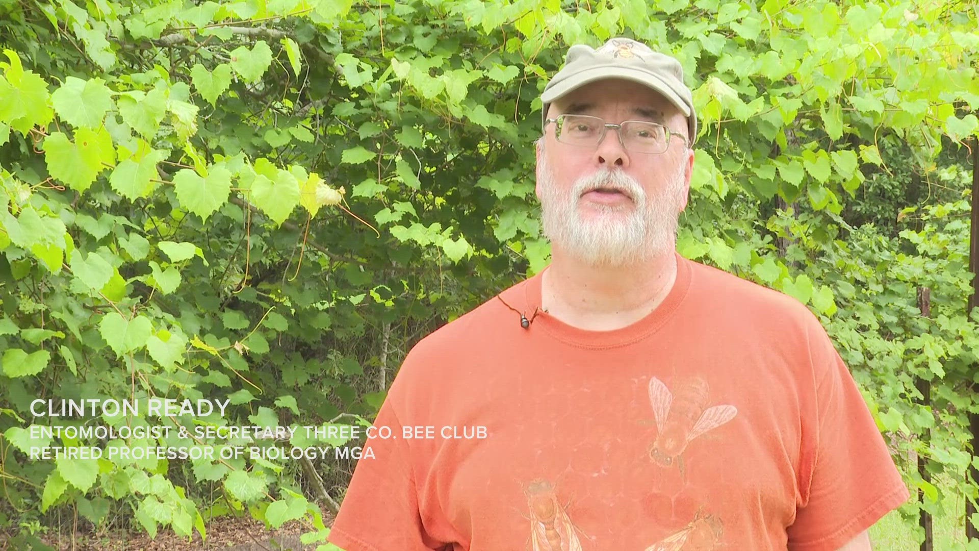 Entomologist Clinton Ready discusses how bees react to incoming weather