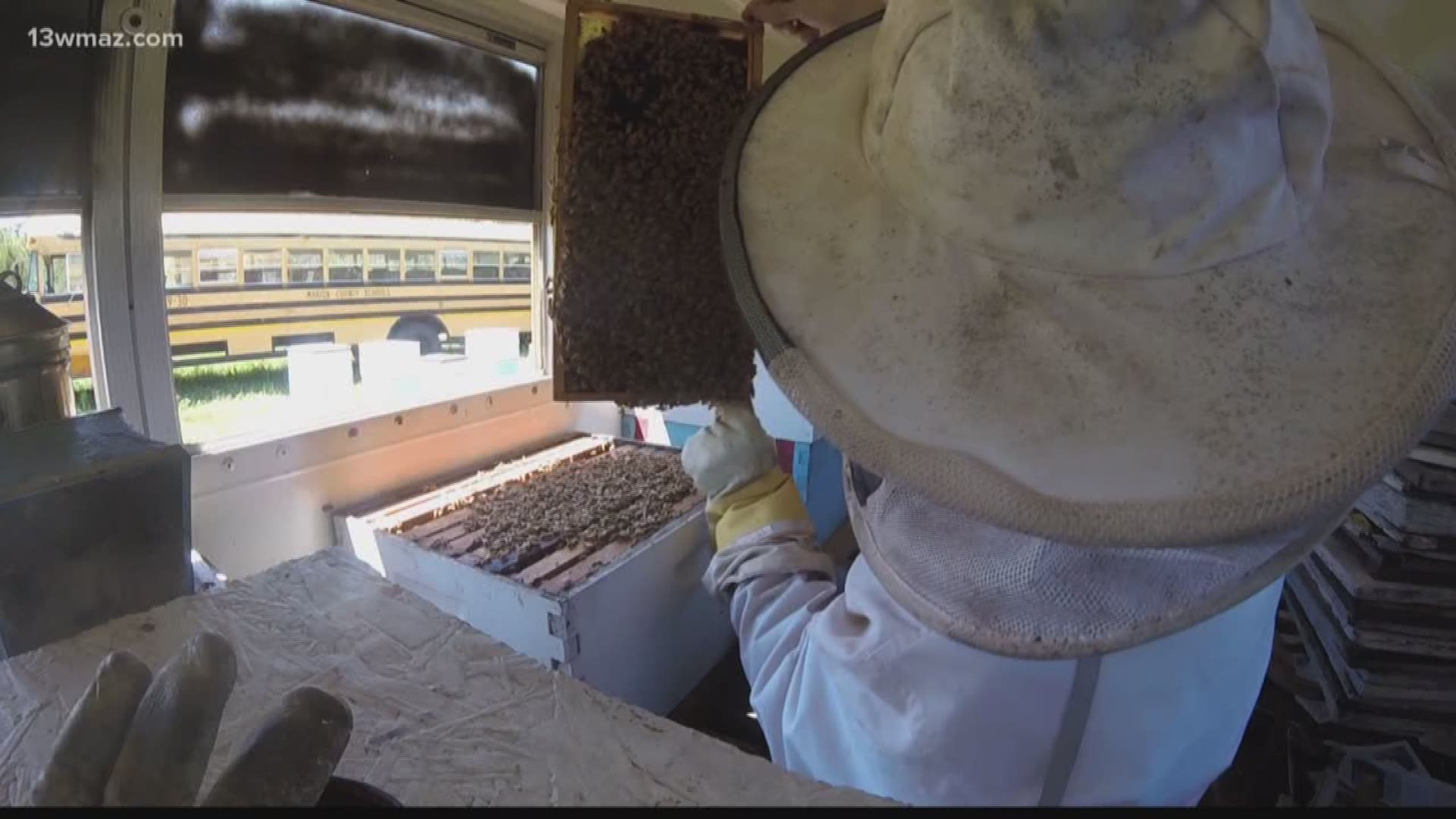 Beekeeper transports bees by bus