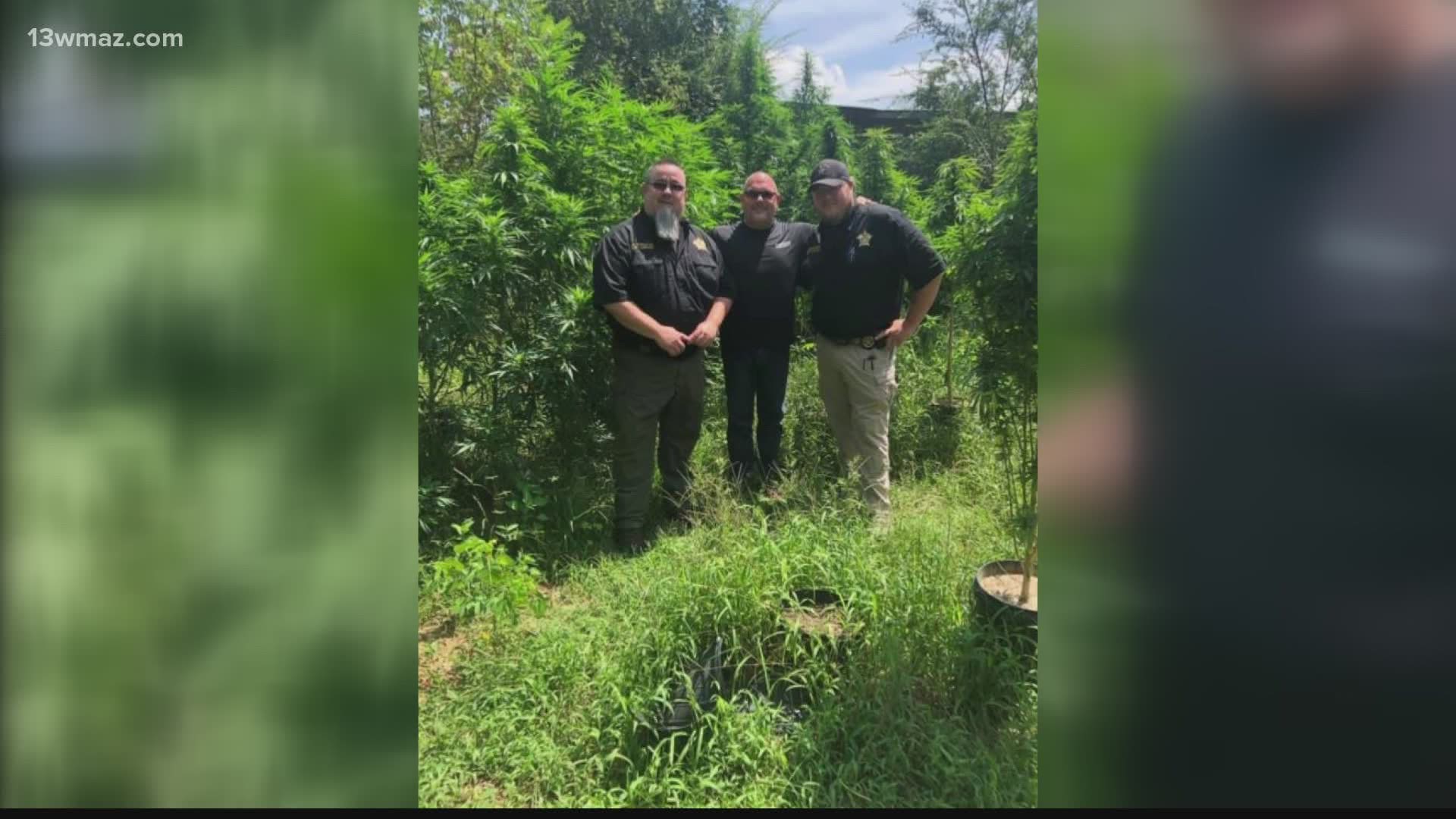 According to a post on the Washington County Sheriff's Office Facebook page, deputies were able to seize the plants in a bust on the 3000 block of Sunhill Road.