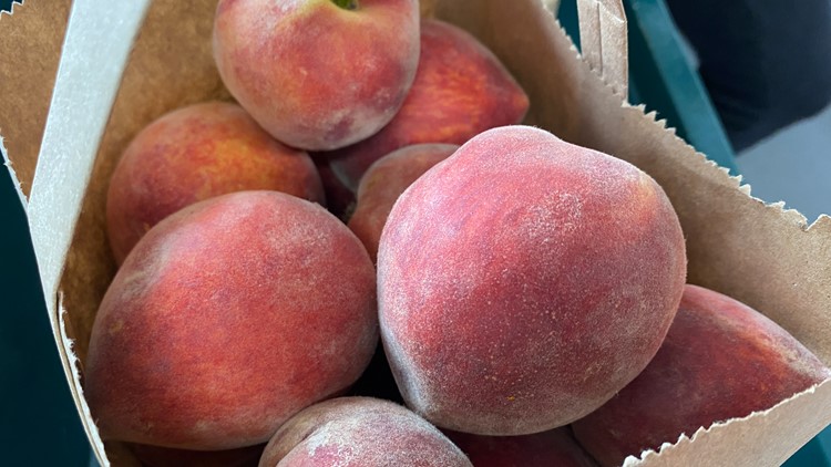 'You won't see a Georgia peach in the grocery store': Central Georgia farmers face drastic crop loss