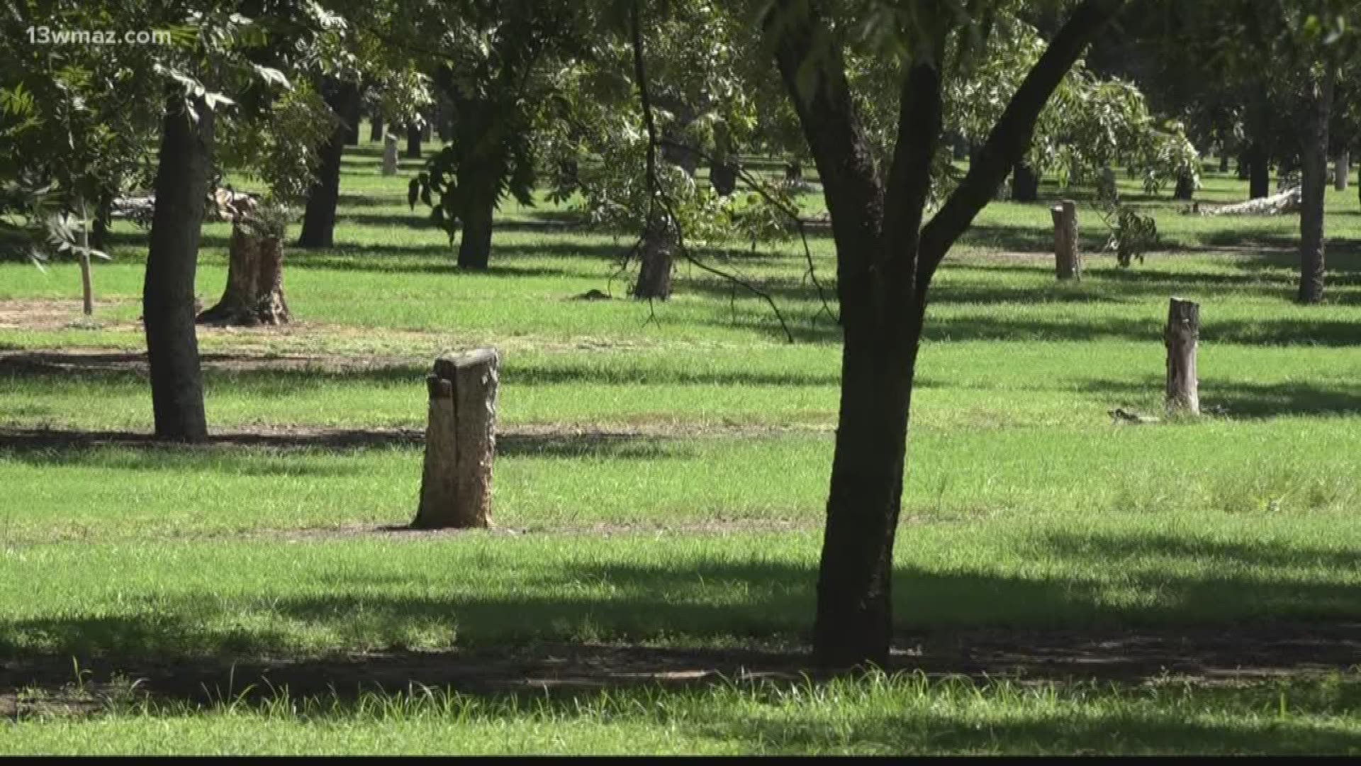 When severe weather strikes, one of the groups hit the hardest is farmers. Kayla Solomon shows you what one Cordele farm is preparing for Dorian after it was hit by a hurricane two years in a row.