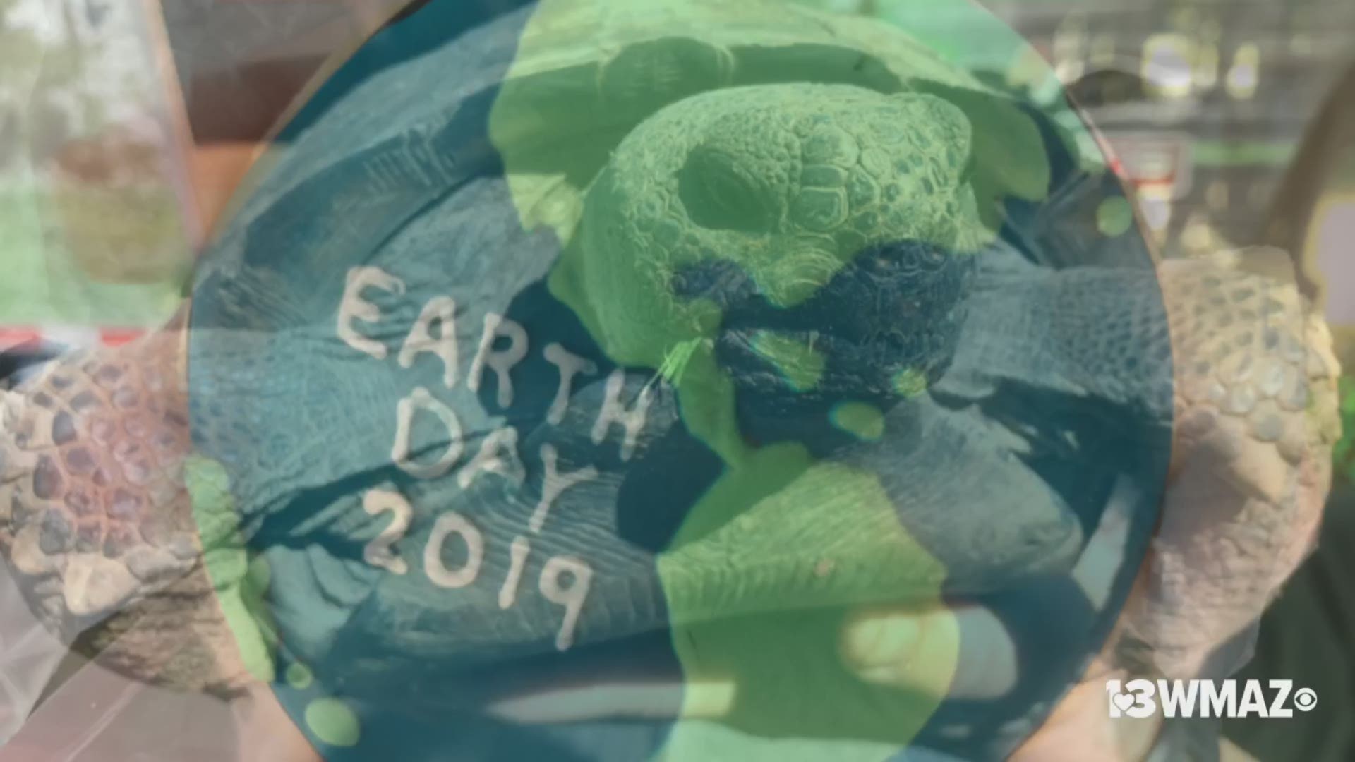 Check out everything going on at the Tattnall Square Park Earth Day market!