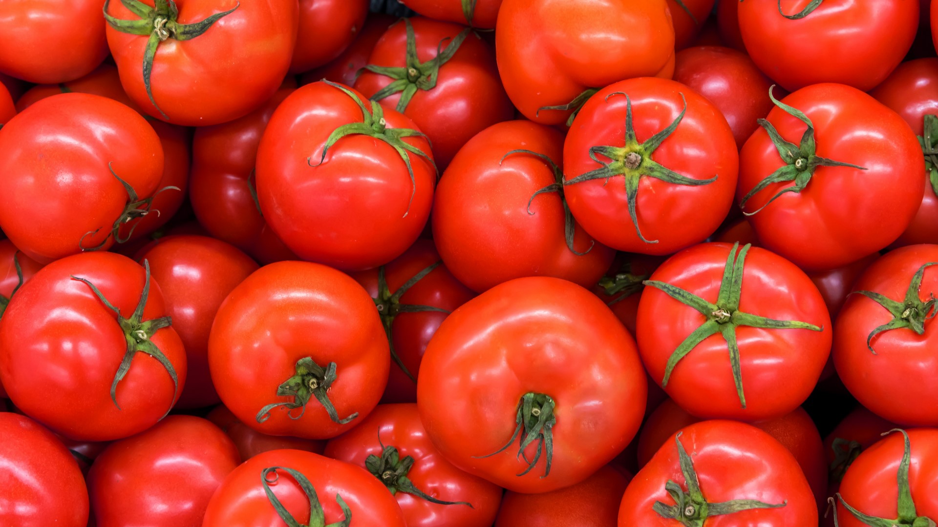 You can start planting tomato seeds indoors 6-8 weeks before our last frost.