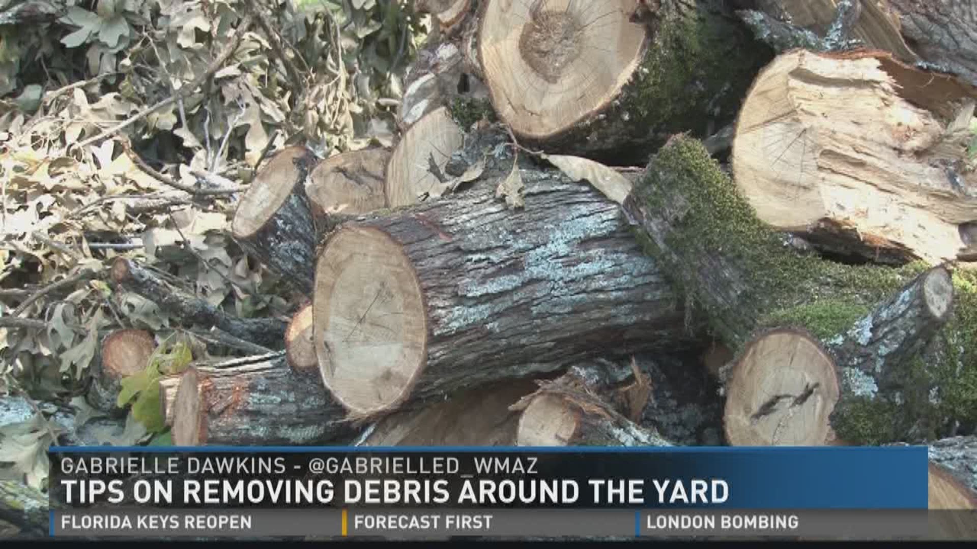 Tips on removing debris from yard