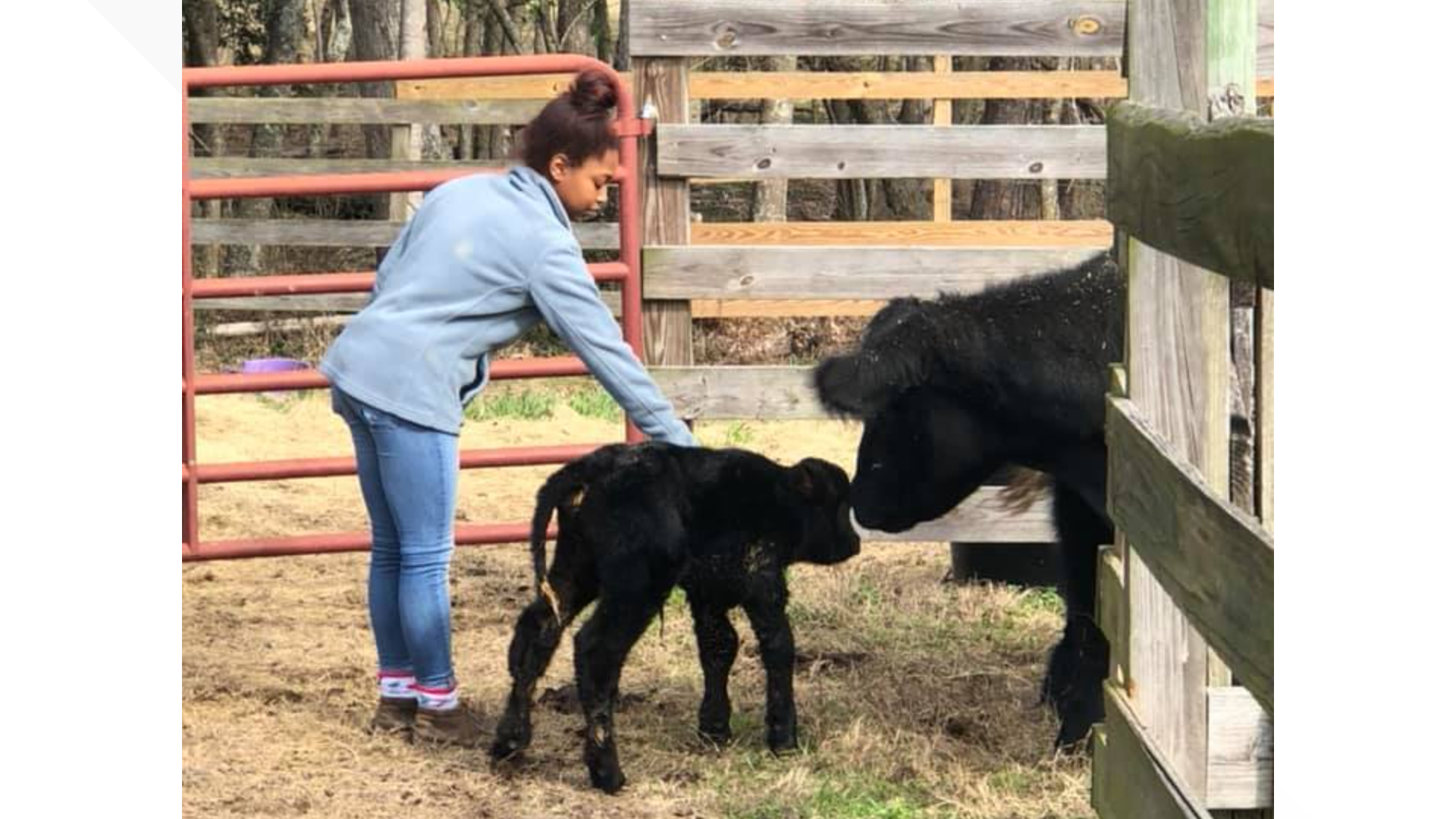 Kandice Lumpkin created a seed packet to help bring healthier food to her community, and she's getting some attention from the agriculture industry