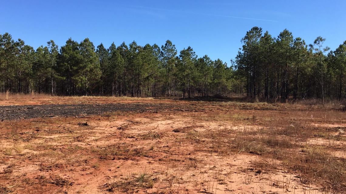Sandersville could be home to multimillion-dollar plant - Vimarsana News