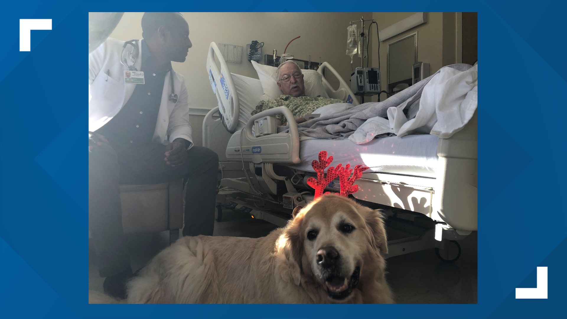 Kiyyaa is the newest certified therapy dog on the block at Coliseum Medical Centers, and his owner is a doctor at the hospital.